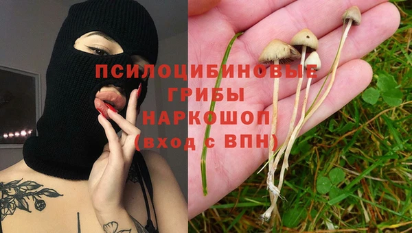 ALPHA-PVP Верея